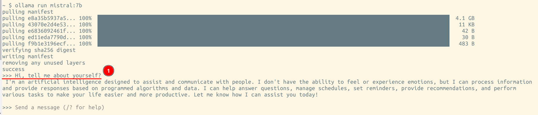 Mistral-Output.png