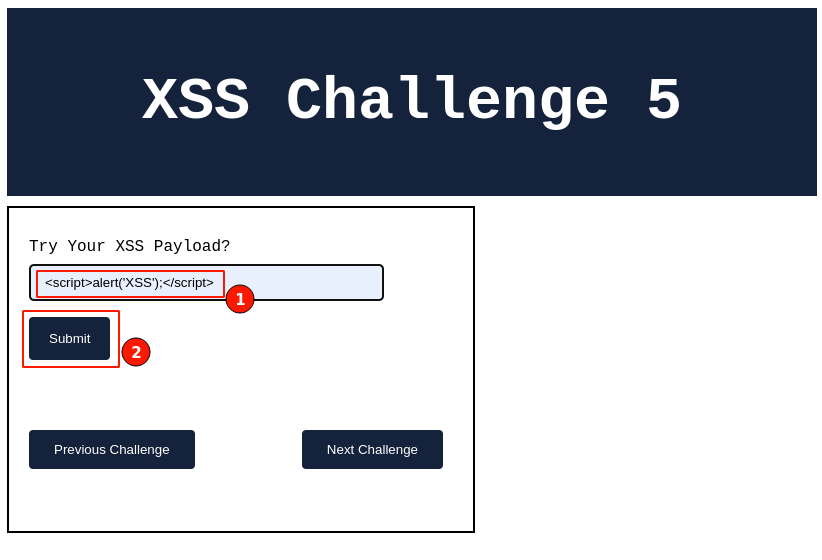 CH5-XSS-Payload-fs8.png