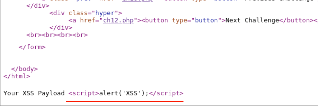 CH11-XSS-Payload-HTML-Source-fs8.png