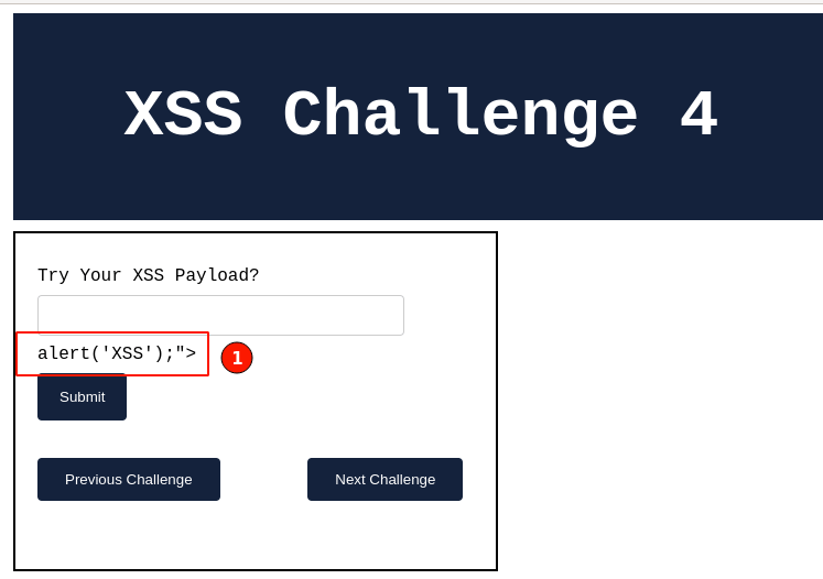 CH4-XSS-Imrprovised-Payload-Trial-fs8.png
